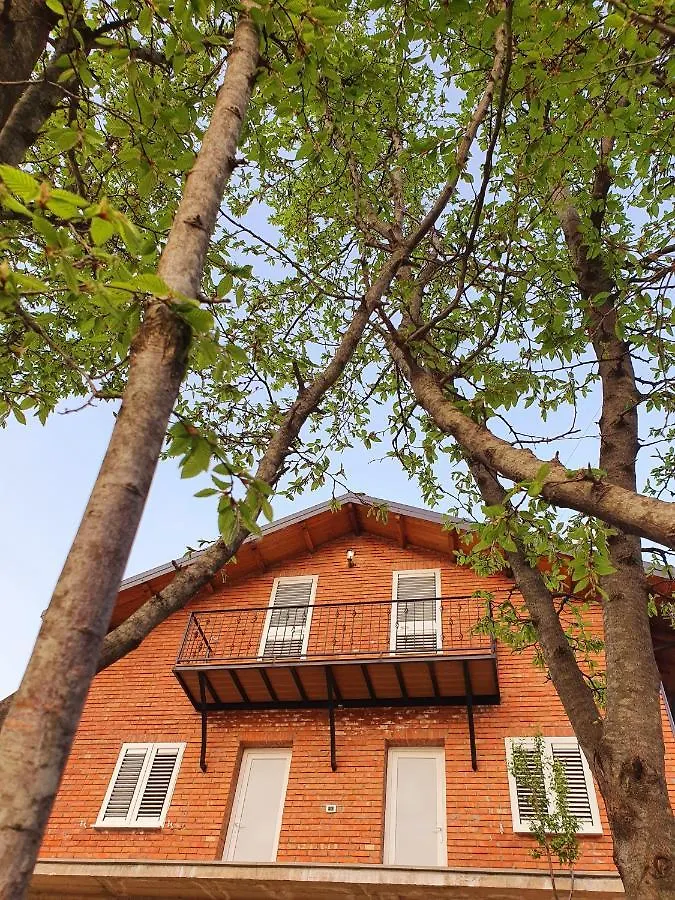 Borealis Guest House Koman